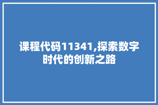 课程代码11341,探索数字时代的创新之路