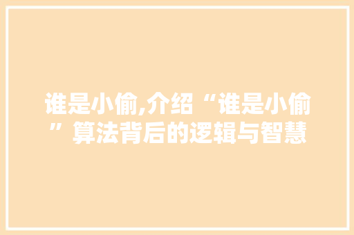 谁是小偷,介绍“谁是小偷”算法背后的逻辑与智慧