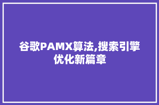 谷歌PAMX算法,搜索引擎优化新篇章