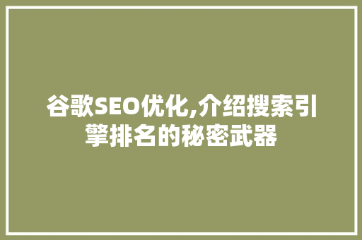 谷歌SEO优化,介绍搜索引擎排名的秘密武器