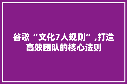 谷歌“文化7人规则”,打造高效团队的核心法则