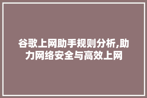 谷歌上网助手规则分析,助力网络安全与高效上网