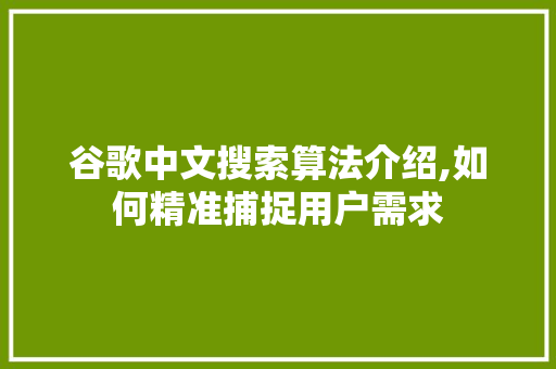 谷歌中文搜索算法介绍,如何精准捕捉用户需求