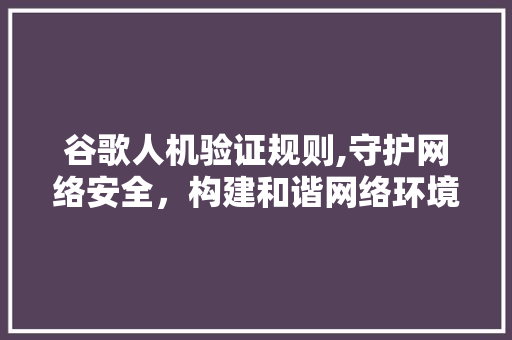 谷歌人机验证规则,守护网络安全，构建和谐网络环境