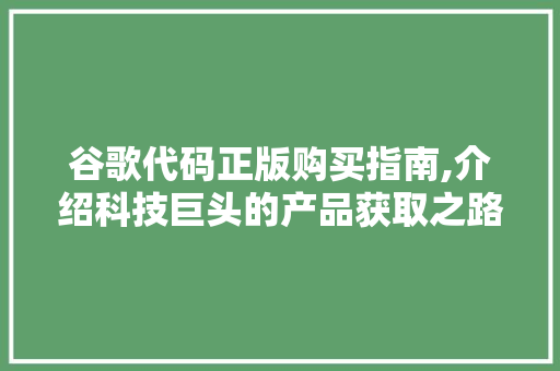 谷歌代码正版购买指南,介绍科技巨头的产品获取之路