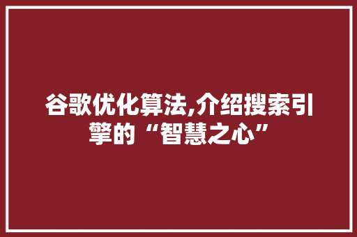 谷歌优化算法,介绍搜索引擎的“智慧之心”