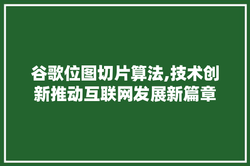 谷歌位图切片算法,技术创新推动互联网发展新篇章