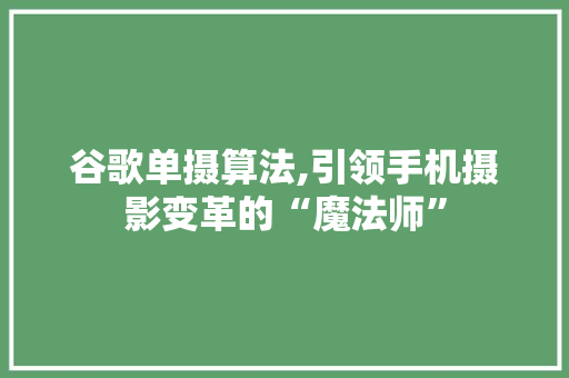 谷歌单摄算法,引领手机摄影变革的“魔法师”