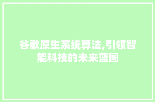 谷歌原生系统算法,引领智能科技的未来蓝图