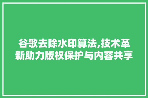 谷歌去除水印算法,技术革新助力版权保护与内容共享