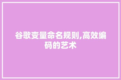 谷歌变量命名规则,高效编码的艺术