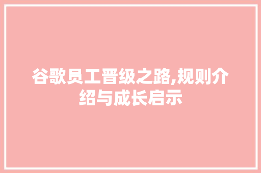 谷歌员工晋级之路,规则介绍与成长启示