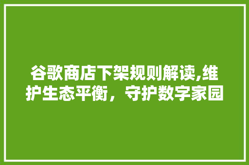 谷歌商店下架规则解读,维护生态平衡，守护数字家园 GraphQL