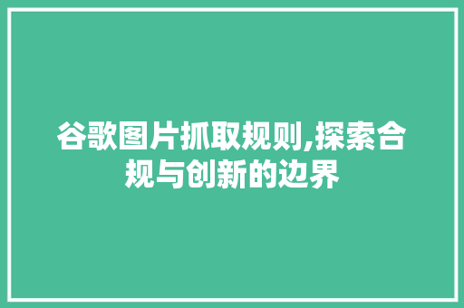 谷歌图片抓取规则,探索合规与创新的边界