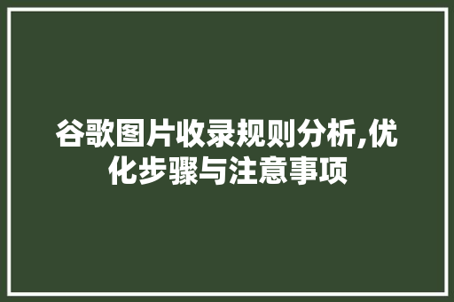 谷歌图片收录规则分析,优化步骤与注意事项