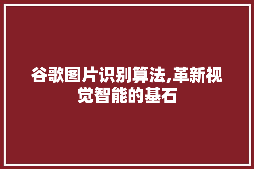 谷歌图片识别算法,革新视觉智能的基石