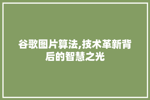 谷歌图片算法,技术革新背后的智慧之光