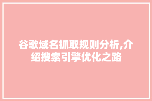 谷歌域名抓取规则分析,介绍搜索引擎优化之路