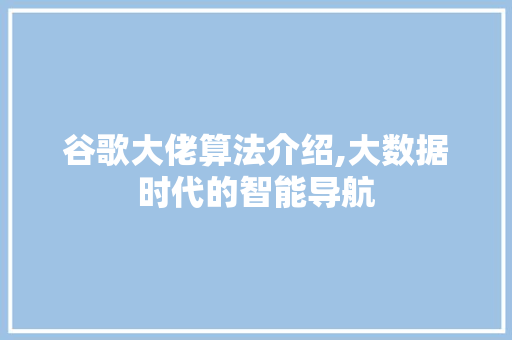 谷歌大佬算法介绍,大数据时代的智能导航