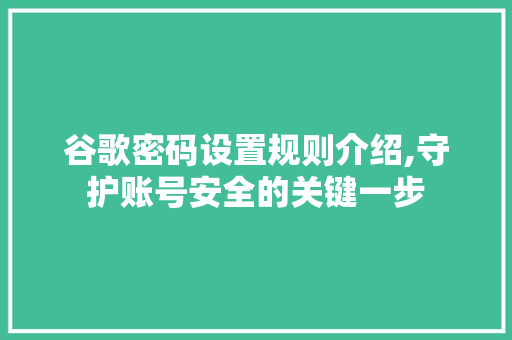 谷歌密码设置规则介绍,守护账号安全的关键一步