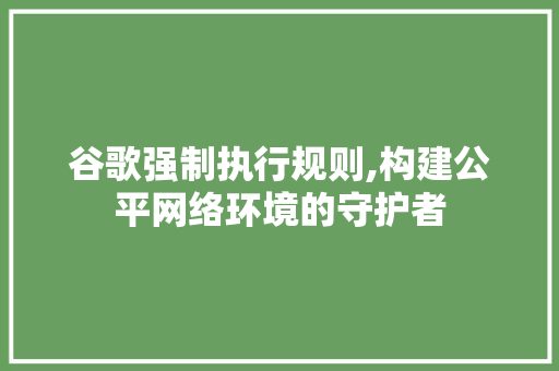 谷歌强制执行规则,构建公平网络环境的守护者