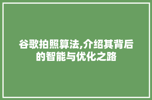 谷歌拍照算法,介绍其背后的智能与优化之路