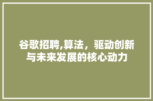 谷歌招聘,算法，驱动创新与未来发展的核心动力