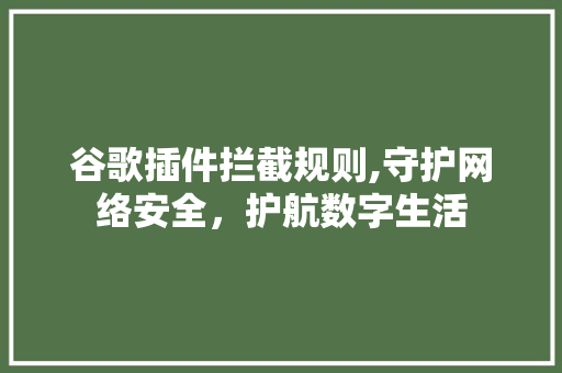 谷歌插件拦截规则,守护网络安全，护航数字生活