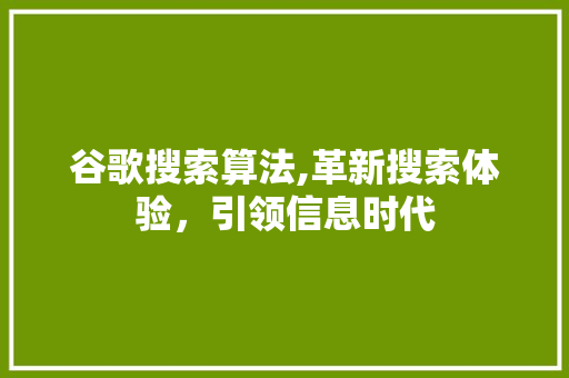 谷歌搜索算法,革新搜索体验，引领信息时代