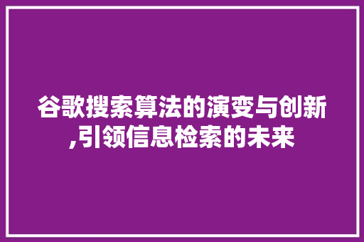 谷歌搜索算法的演变与创新,引领信息检索的未来