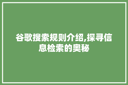 谷歌搜索规则介绍,探寻信息检索的奥秘