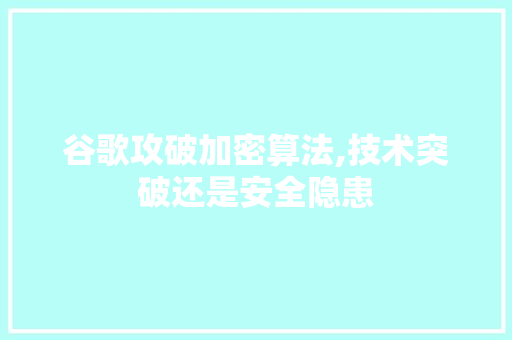 谷歌攻破加密算法,技术突破还是安全隐患