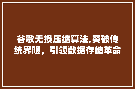 谷歌无损压缩算法,突破传统界限，引领数据存储革命