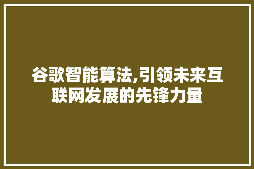 谷歌智能算法,引领未来互联网发展的先锋力量