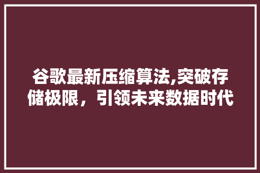 谷歌最新压缩算法,突破存储极限，引领未来数据时代