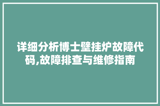 详细分析博士壁挂炉故障代码,故障排查与维修指南