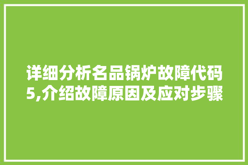 详细分析名品锅炉故障代码5,介绍故障原因及应对步骤