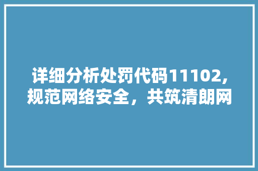 详细分析处罚代码11102,规范网络安全，共筑清朗网络空间