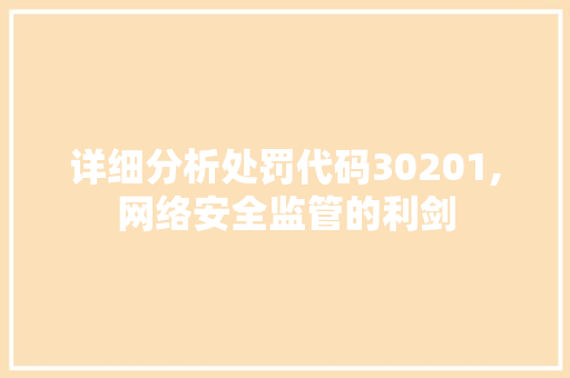 详细分析处罚代码30201,网络安全监管的利剑