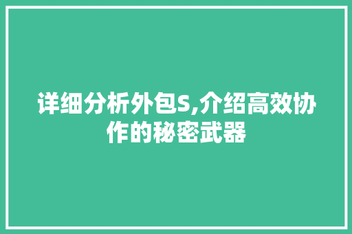 详细分析外包S,介绍高效协作的秘密武器