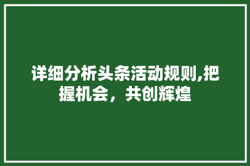 详细分析头条活动规则,把握机会，共创辉煌