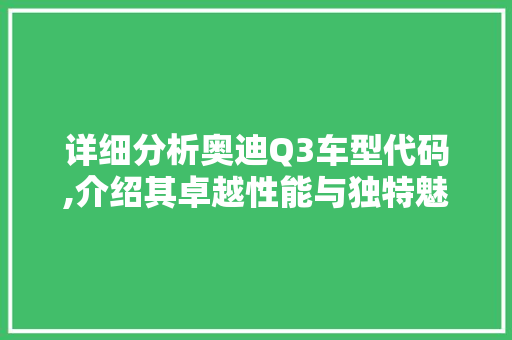 详细分析奥迪Q3车型代码,介绍其卓越性能与独特魅力