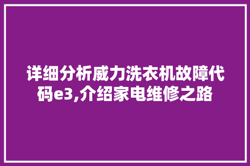 详细分析威力洗衣机故障代码e3,介绍家电维修之路 Ruby