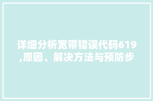 详细分析宽带错误代码619,原因、解决方法与预防步骤