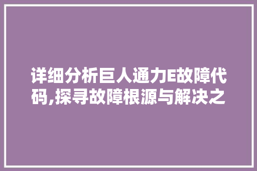 详细分析巨人通力E故障代码,探寻故障根源与解决之路