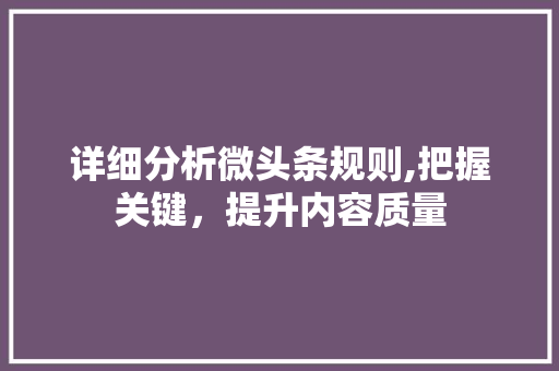 详细分析微头条规则,把握关键，提升内容质量