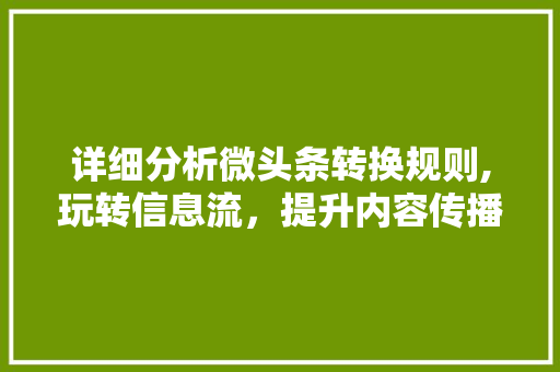 详细分析微头条转换规则,玩转信息流，提升内容传播力