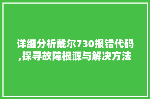 详细分析戴尔730报错代码,探寻故障根源与解决方法