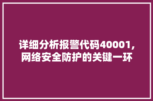 详细分析报警代码40001,网络安全防护的关键一环