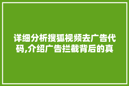 详细分析搜狐视频去广告代码,介绍广告拦截背后的真相